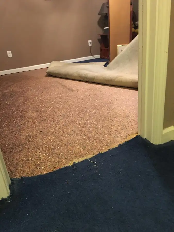 Carpet pad removal revealing water damage during Water Mitigation Services in Greenfield