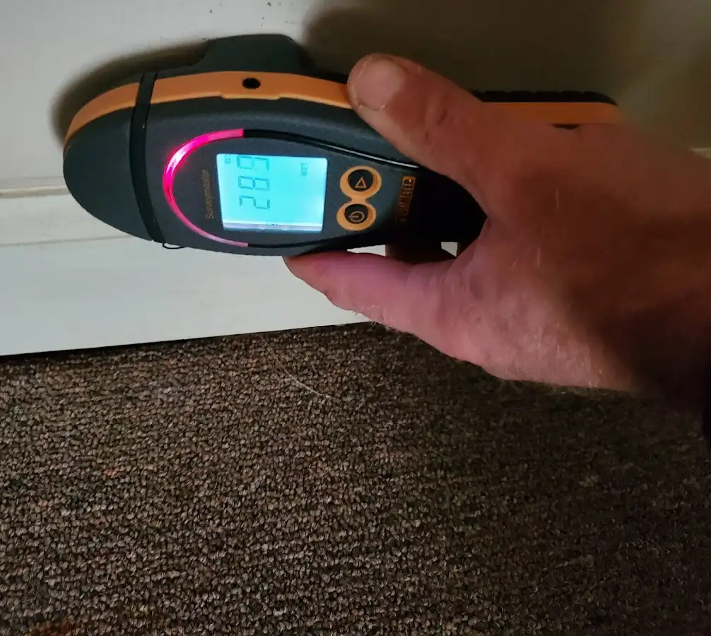 Moisture detection at baseboard during Mold Inspection & Testing in Greenfield